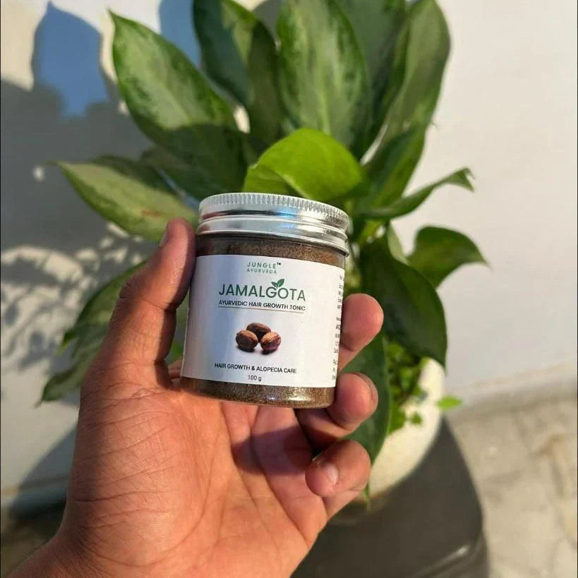Jamalgota Ayurvedic Hair Growth Powder (Pack of 2)