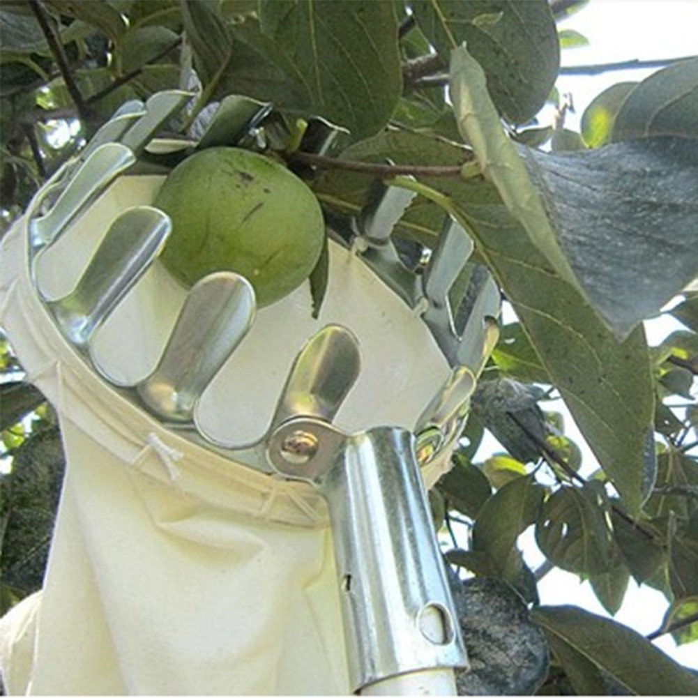 Fruit Picker